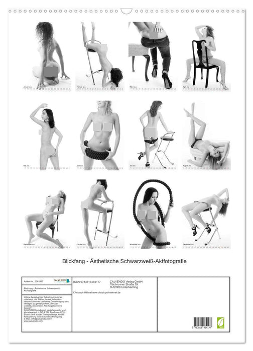 Blickfang - Ästhetische Schwarzweiß-Aktfotografie (CALVENDO Wandkalender 2026)