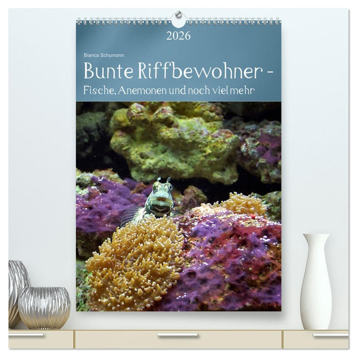 Bunte Riffbewohner - Fische, Anemonen und noch viel mehr (CALVENDO Premium Wandkalender 2026)