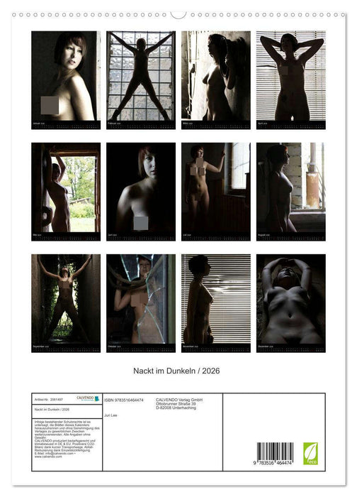 Nackt im Dunkeln / 2026 (CALVENDO Premium Wandkalender 2026)