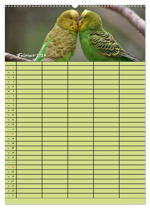 Der Wellensittich-Familienplaner (CALVENDO Wandkalender 2026)