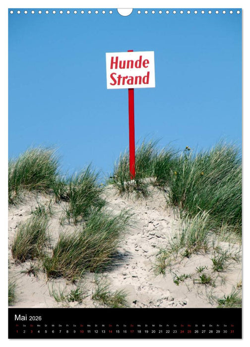 Borkum (CALVENDO Wandkalender 2026)