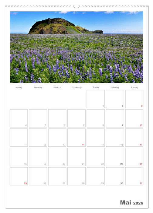 Faszination Island - Landschaftskalender mit Tagesplaner 2026 / Planer (CALVENDO Premium Wandkalender 2026)