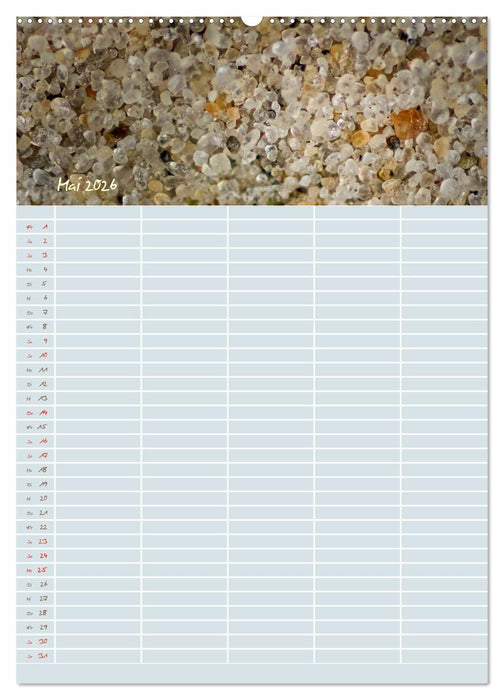 Kleine Sand-Schönheiten / Familienplaner (CALVENDO Wandkalender 2026)