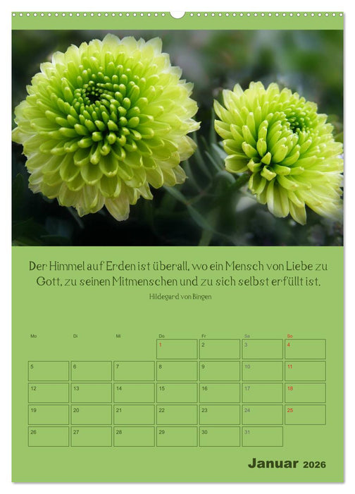 Erkenntnis und Weisheit - Hildegard von Bingen (CALVENDO Wandkalender 2026)