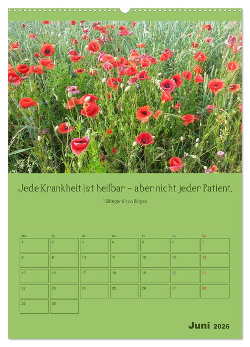 Erkenntnis und Weisheit - Hildegard von Bingen (CALVENDO Wandkalender 2026)