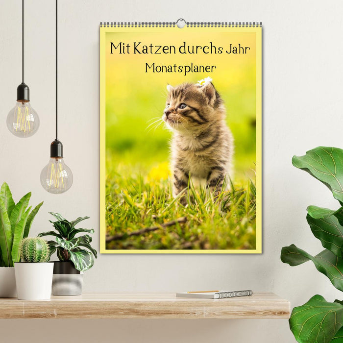 Mit Katzen durchs Jahr / Planer (CALVENDO Wandkalender 2026)