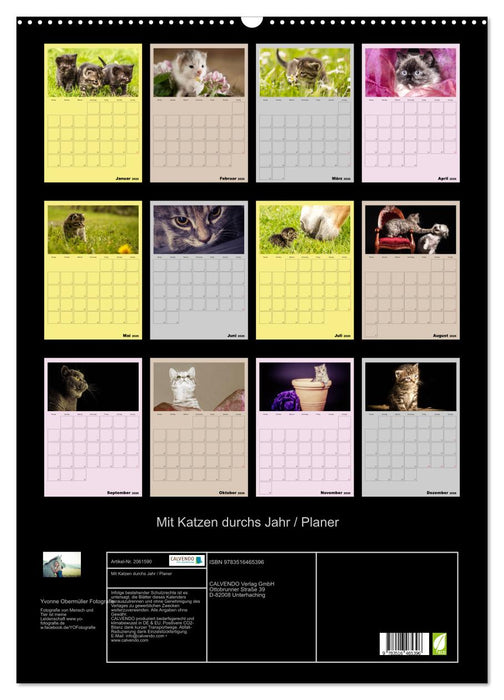 Mit Katzen durchs Jahr / Planer (CALVENDO Wandkalender 2026)