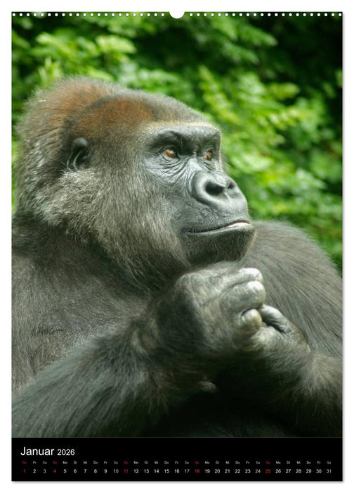 Tiere - Animals (CALVENDO Premium Wandkalender 2026)