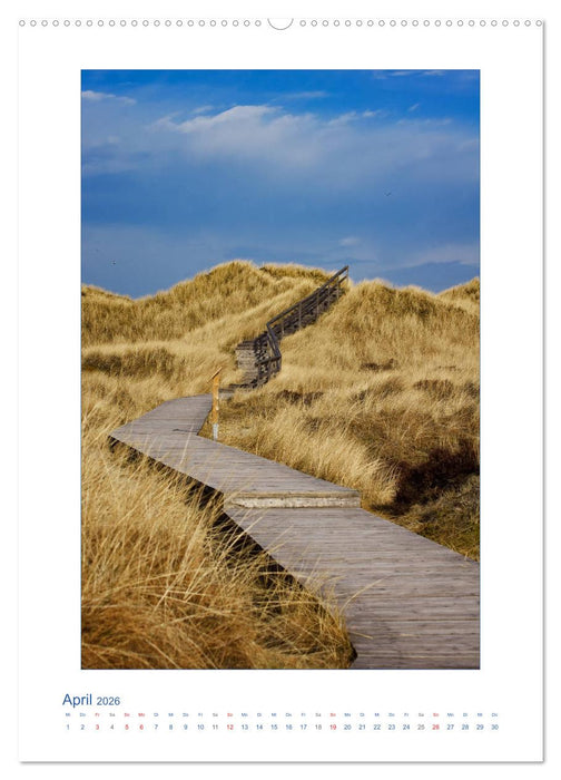 Insel Amrum - Friesische Impressionen (CALVENDO Premium Wandkalender 2026)