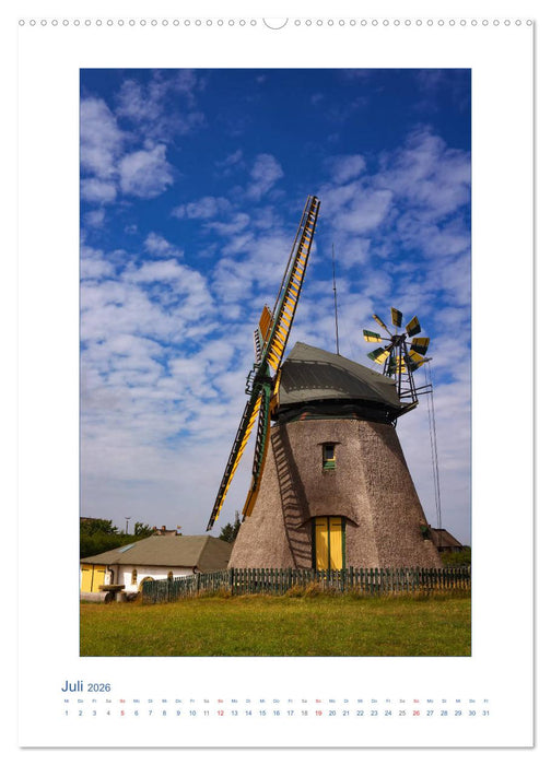 Insel Amrum - Friesische Impressionen (CALVENDO Premium Wandkalender 2026)