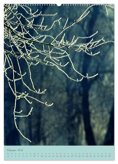 Natur Träume (CALVENDO Premium Wandkalender 2026)