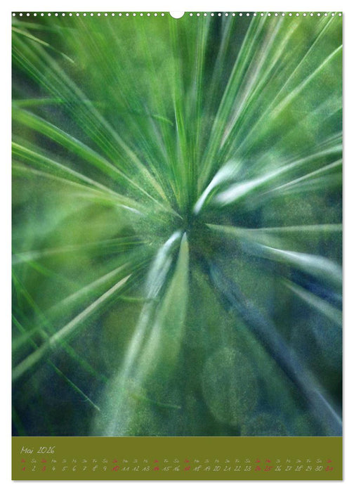 Natur Träume (CALVENDO Premium Wandkalender 2026)