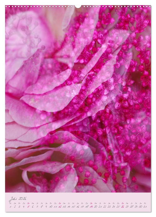 Natur Träume (CALVENDO Premium Wandkalender 2026)