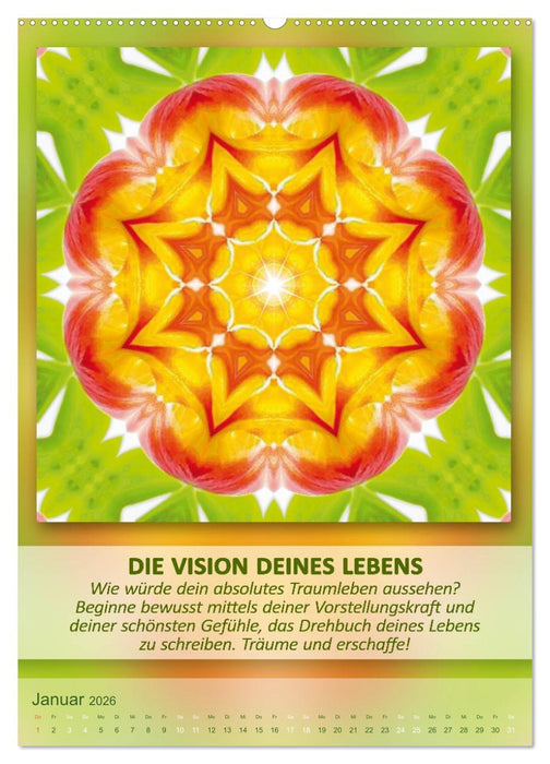 Light Energy Mandalas - Kalender - Vol. 2 (CALVENDO Wandkalender 2026)