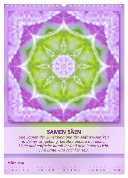 Light Energy Mandalas - Kalender - Vol. 2 (CALVENDO Wandkalender 2026)
