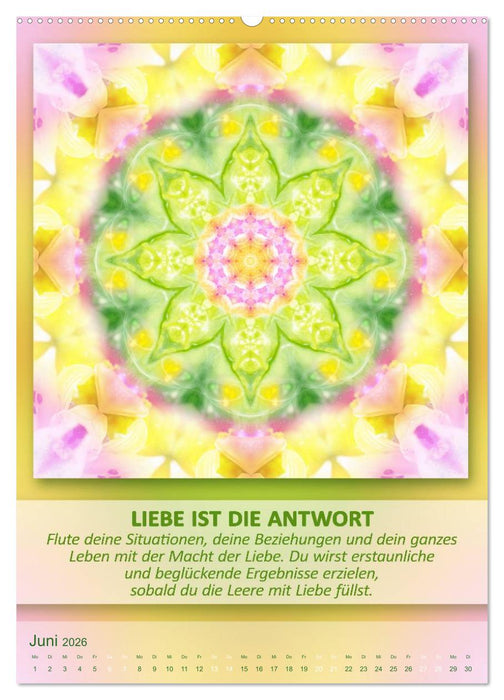 Light Energy Mandalas - Kalender - Vol. 2 (CALVENDO Wandkalender 2026)