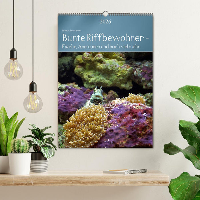 Bunte Riffbewohner - Fische, Anemonen und noch viel mehr (CALVENDO Wandkalender 2026)