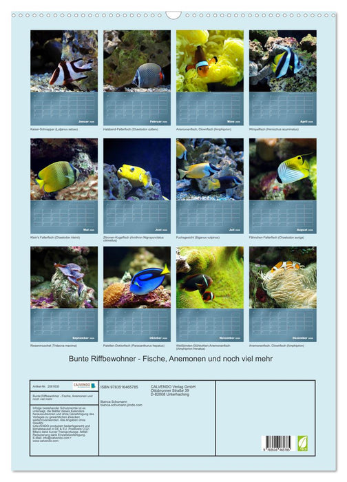 Bunte Riffbewohner - Fische, Anemonen und noch viel mehr (CALVENDO Wandkalender 2026)