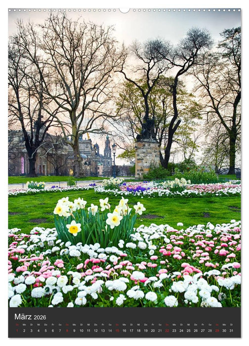 Mein Dresden (CALVENDO Premium Wandkalender 2026)