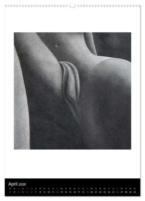 Akt abstrakt - Abstrakte Aktzeichnungen (CALVENDO Wandkalender 2026)