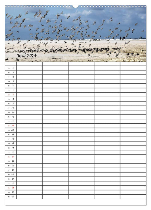 Urlaubsparadies Amrum / Familienplaner (CALVENDO Premium Wandkalender 2026)