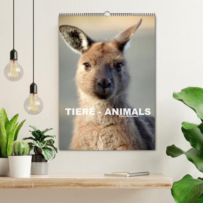 Tiere - Animals (CALVENDO Wandkalender 2026)