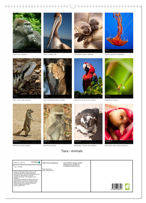 Tiere - Animals (CALVENDO Wandkalender 2026)