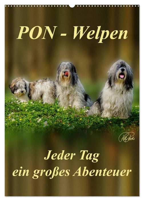 PON-Welpen - jeder Tag ein großes Abenteuer / Planer (CALVENDO Wandkalender 2026)