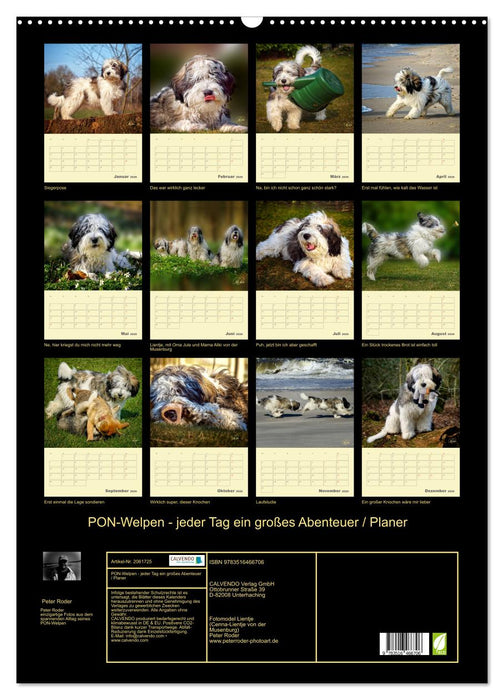 PON-Welpen - jeder Tag ein großes Abenteuer / Planer (CALVENDO Wandkalender 2026)