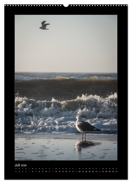 Geheimnisvolles Sylt 2026 (CALVENDO Premium Wandkalender 2026)