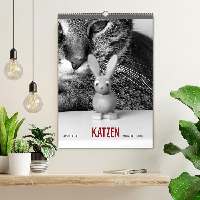 Sonja Heller Katzen in SW-Portraits (CALVENDO Wandkalender 2026)