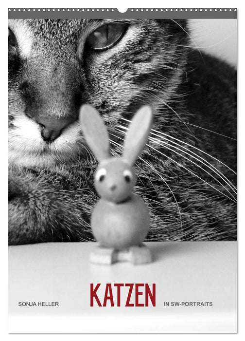 Sonja Heller Katzen in SW-Portraits (CALVENDO Wandkalender 2026)