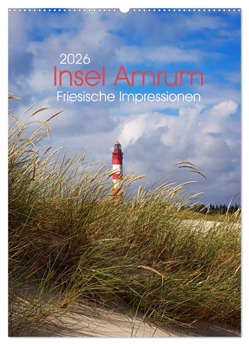 Insel Amrum - Friesische Impressionen (CALVENDO Wandkalender 2026)