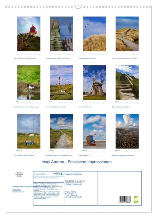 Insel Amrum - Friesische Impressionen (CALVENDO Wandkalender 2026)