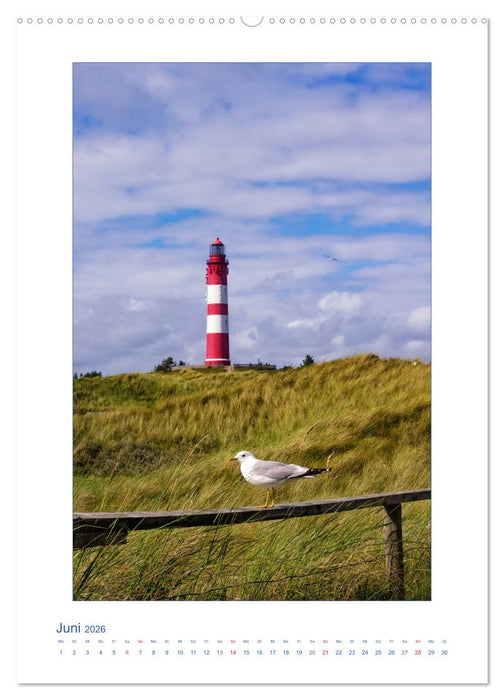 Insel Amrum - Friesische Impressionen (CALVENDO Wandkalender 2026)