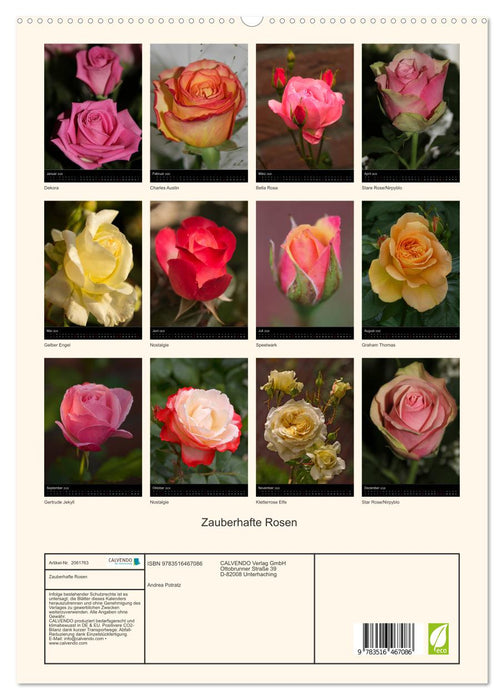Zauberhafte Rosen (CALVENDO Premium Wandkalender 2026)