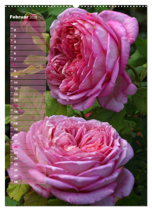 Rosen für DICH / Geburtstagskalender (CALVENDO Premium Wandkalender 2026)