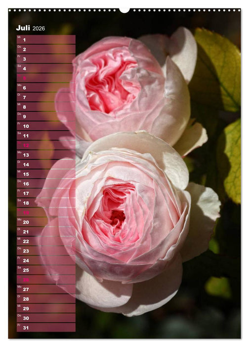 Rosen für DICH / Geburtstagskalender (CALVENDO Premium Wandkalender 2026)