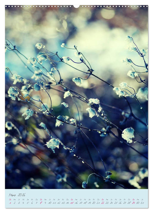 Natur Träume (CALVENDO Wandkalender 2026)