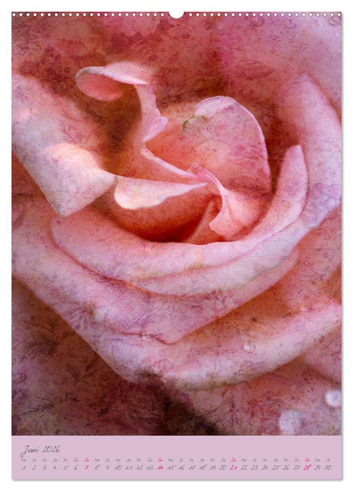 Natur Träume (CALVENDO Wandkalender 2026)