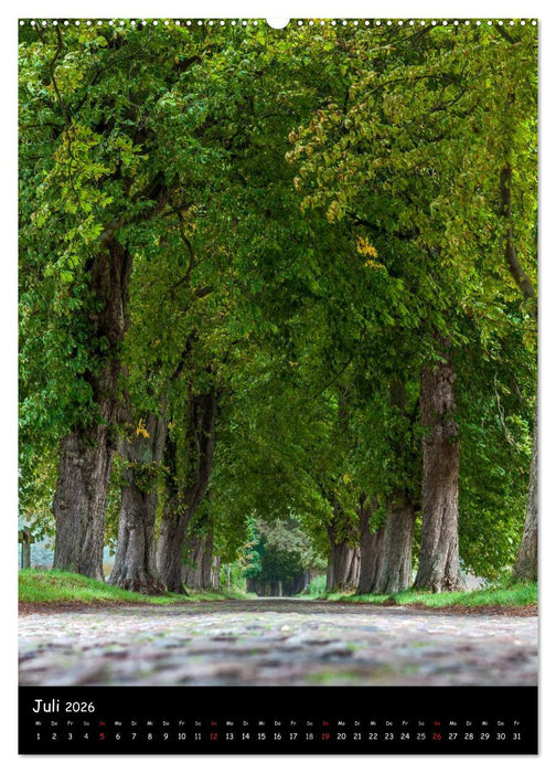 Rügen Sichtweisen (CALVENDO Premium Wandkalender 2026)