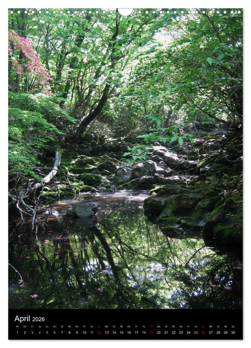 Südkorea – Impressionen (CALVENDO Wandkalender 2026)