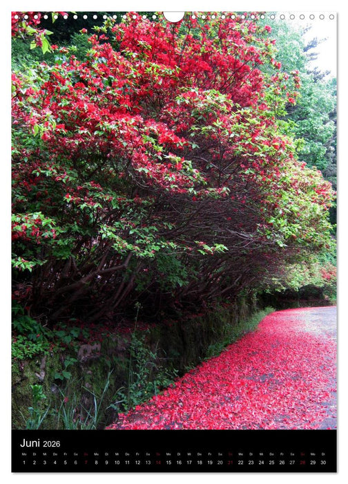 Südkorea – Impressionen (CALVENDO Wandkalender 2026)