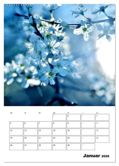 Zauberhafte Blütenwelt / Planer (CALVENDO Wandkalender 2026)
