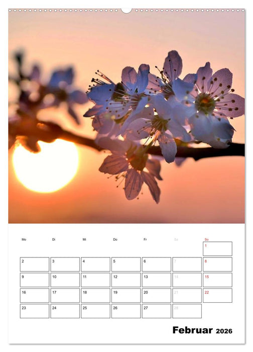 Zauberhafte Blütenwelt / Planer (CALVENDO Wandkalender 2026)