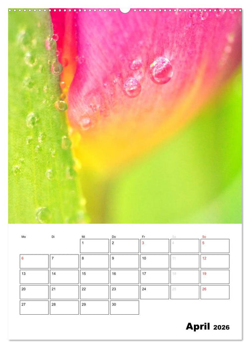Zauberhafte Blütenwelt / Planer (CALVENDO Wandkalender 2026)