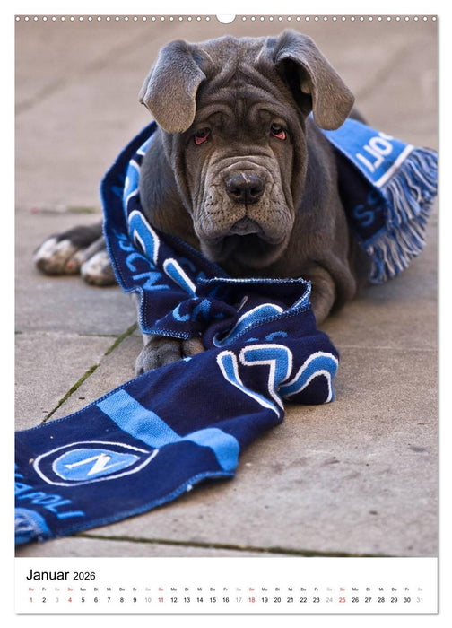 Kleine und große Hundekinder 2026 (CALVENDO Wandkalender 2026)