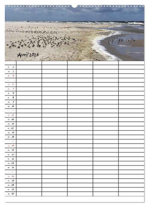 Urlaubsparadies Amrum / Familienplaner (CALVENDO Wandkalender 2026)
