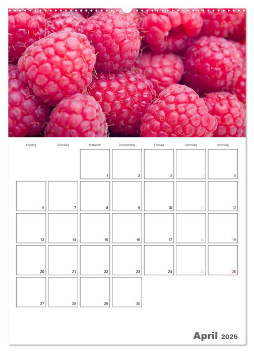 Frische Küche - Der hilfreiche Monatsplaner / Planer (CALVENDO Premium Wandkalender 2026)