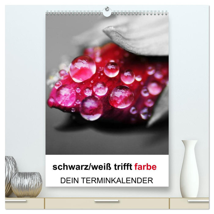 schwarz/weiß trifft farbe - DEIN TERMINKALENDER / Planer (CALVENDO Premium Wandkalender 2026)